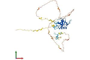 AlphaFold protein structure predicition of Human Recombinant FOXH1 Protein, UniprotID O75593