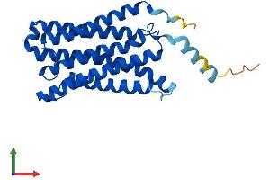 Protein Structure (PS) image for Cytochrome B-561 (CYB561) (AA 1-251) protein (His tag) (ABIN7546893)