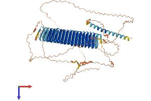 AKAP5 Protein (AA 1-745) (His tag)