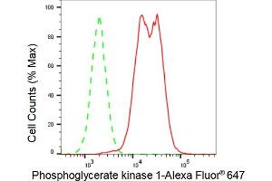 Flow cytometric analysis of Phosphoglycerate kinase 1 expression in HAP-1 cells using Phosphoglycerate kinase 1 antibody (ABIN7799810), 1:2,000). (Rekombinanter PGK1 Antikörper)