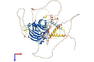 DCAF6 Protein (AA 1-860) (His tag)