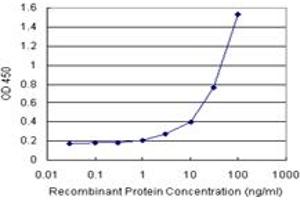 Sandwich ELISA detection sensitivity ranging from 1 ng/mL to 100 ng/mL.
