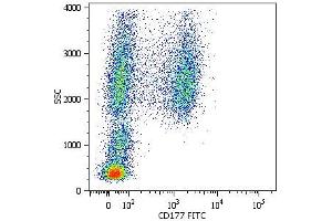 Surface staining of human peripheral blood cells with anti-CD177 (MEM-166) FITC. (CD177 Antikörper  (FITC))