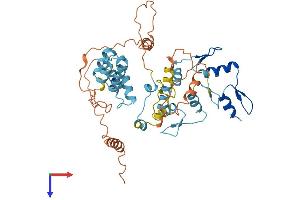 AlphaFold protein structure predicition of Human Recombinant ZNF75CP Protein, UniprotID Q92670