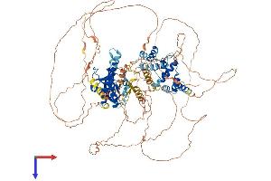 PSD3 Protein (AA 1-1037) (His tag)