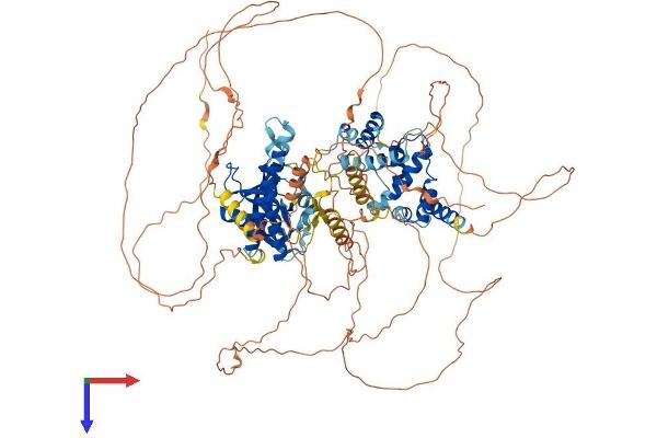 PSD3 Protein (AA 1-1037) (His tag)