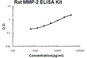 Rat MMP-2 Accusignal ELISA Kit Rat MMP-2 AccuSignal ELISA Kit standard curve. (MMP2 ELISA Kit)