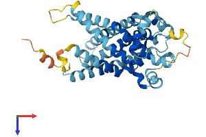 SLC25A27 Protein (AA 1-323) (His tag)