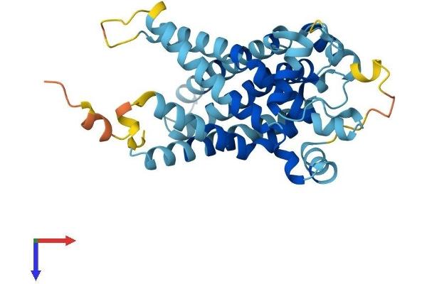 SLC25A27 Protein (AA 1-323) (His tag)