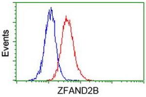 Image no. 3 for anti-Zinc Finger, AN1-Type Domain 2B (ZFAND2B) antibody (ABIN1501806)