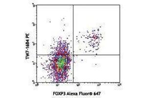 anti-Leucine Peptidase antibody (PE)