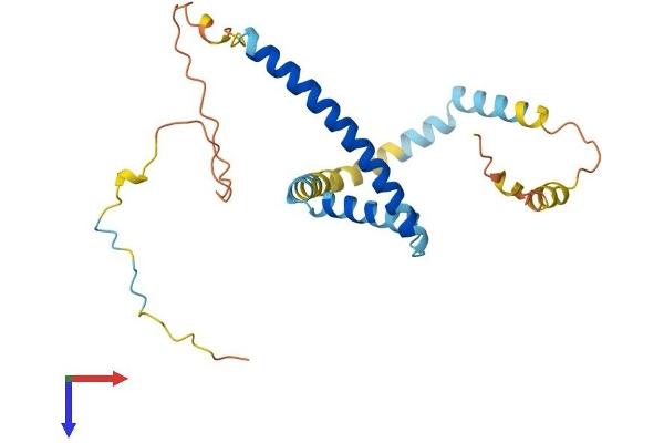 TPD52 Protein (AA 1-224) (His tag)