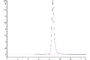Size-exclusion chromatography-High Pressure Liquid Chromatography (SEC-HPLC) image for Transforming Growth Factor, alpha (TGFA) (AA 40-89) protein (Fc Tag) (ABIN7275716)