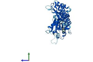 Protein Structure (PS) image for Brain and Reproductive Organ-Expressed (TNFRSF1A Modulator) (BRE) (AA 1-383) protein (His tag) (ABIN7564659)