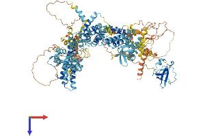 Hect Domain and RLD 2 Pseudogene 3 (HERC2P3) (AA 1-1158) protein (His tag)