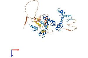 ZIK1 Protein (AA 1-487) (His tag)