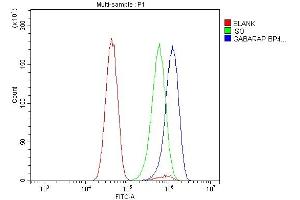 Flow Cytometry analysis of U251 cells using anti-GABARAP antibody (ABIN7603159). (GABARAP Antikörper  (N-Term))