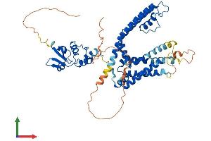 Protein Structure (PS) image for Potassium Voltage-Gated Channel, Shaker-Related Subfamily, Member 2 (KCNA2) (AA 1-499) protein (His tag) (ABIN7563503)