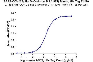 Immobilized SARS-COV-2 Spike S (Omicron B.