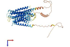 Otopetrin 1 Protein (OTOP1) (AA 1-600) (His tag)