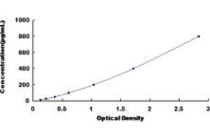 Typical standard curve (CD58 ELISA Kit)