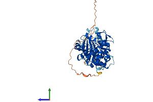 Protein Structure (PS) image for Serine/threonine-Protein Kinase NIM1 (NIM1) (AA 1-436) protein (His tag) (ABIN7558643)