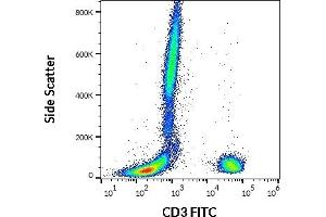 Flow cytometry surface staining pattern of human peripheral whole blood stained using anti-human CD3 (UCHT1) FITC antibody (20 μL reagent / 100 μL of peripheral whole blood). (CD3 Antikörper  (FITC))