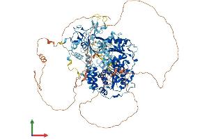 Protein Structure (PS) image for UPF1 Regulator of Nonsense Transcripts Homolog (UPF1) (AA 1-1129) protein (His tag) (ABIN7555191)