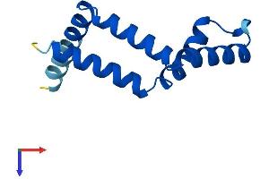 ENY2 Protein (AA 1-101) (His tag)