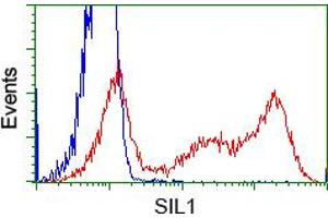 Image no. 2 for anti-Nucleotide Exchange Factor SIL1 (SIL1) antibody (ABIN1496809) (SIL1 Antikörper)