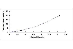 Typical standard curve (PPARA ELISA Kit)