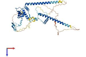 DMAP1 Protein (AA 1-467) (His tag)