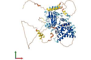 Protein Structure (PS) image for Transcription Factor 25 (Basic Helix-Loop-Helix) (TCF25) (AA 1-676) protein (His tag) (ABIN7559739)