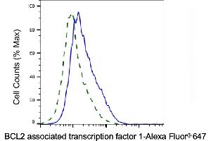 Validation of BCL2 associated transcription factor 1 knockdown using flow cytometry.