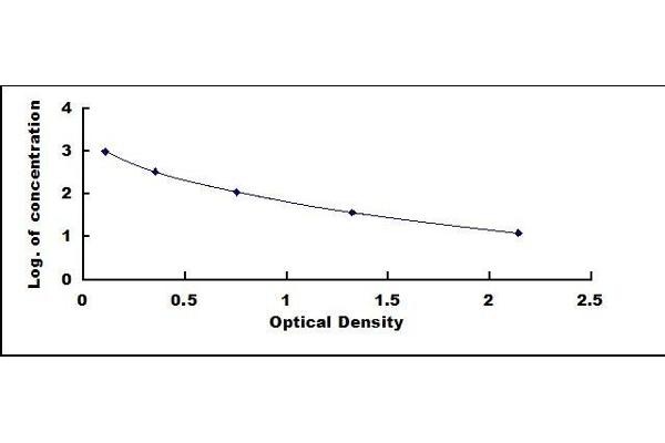 Inhibin alpha ELISA Kit