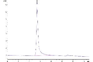 CCR2 Protein-VLP (AA 1-360) (Biotin)