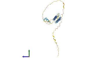 Protein Structure (PS) image for Achaete-Scute Complex Homolog 1 (Drosophila) (ASCL1) (AA 1-231) protein (His tag) (ABIN7556865)