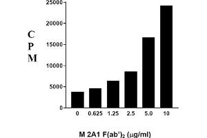Image no. 1 for Mouse anti-Rat IgM (Chain mu) antibody (ABIN371250) (Maus anti-Ratte IgM (Chain mu) Antikörper)