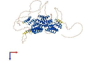 CDC27 Protein (AA 1-825) (His tag)