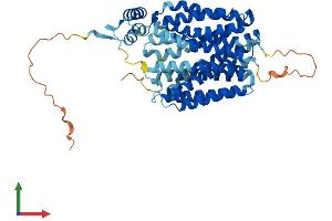 AlphaFold protein structure predicition of Human Recombinant SVOPL Protein, UniprotID Q8N434