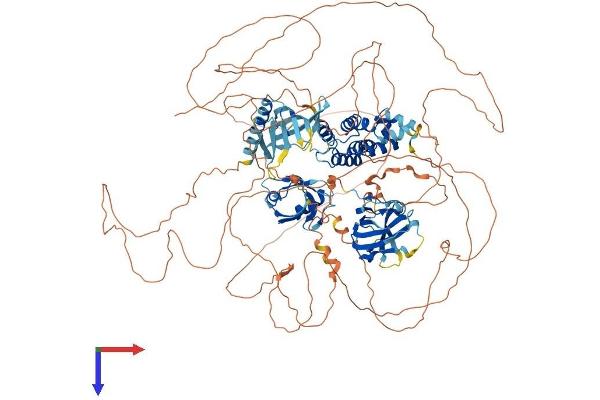 RGS3 Protein (AA 1-1198) (His tag)