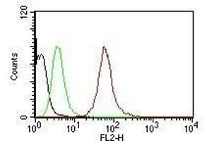 Flow Cytometric analysis of human Pan-Cytokeratins on HeLa cells. (KRT77, KRT76 Antikörper (PE))