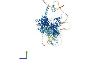 AlphaFold protein structure predicition of Mouse Recombinant Rnf31 Protein, UniprotID Q924T7 (RNF31 Protein (AA 1-1066) (His tag))
