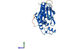 AlphaFold protein structure predicition of Human Recombinant PPTC7 Protein, UniprotID Q8NI37