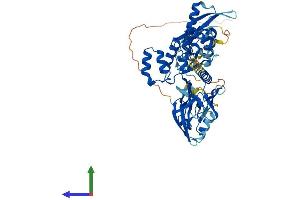 Protein Structure (PS) image for Sorting Nexin 27 (SNX27) (AA 1-539) protein (His tag) (ABIN7563717)