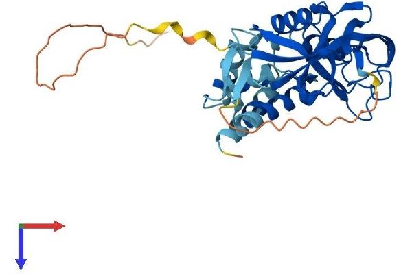 GIPC2 Protein (AA 1-314) (His tag)