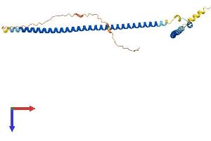 MIPOL1 Protein (AA 1-279) (His tag)