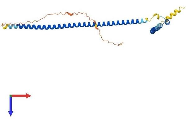 MIPOL1 Protein (AA 1-279) (His tag)