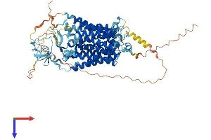 SLCO4C1 Protein (AA 1-724) (His tag)
