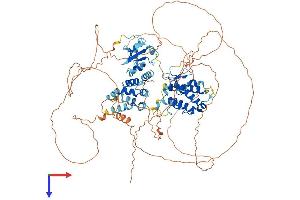 SP140 Protein (AA 1-867) (His tag)
